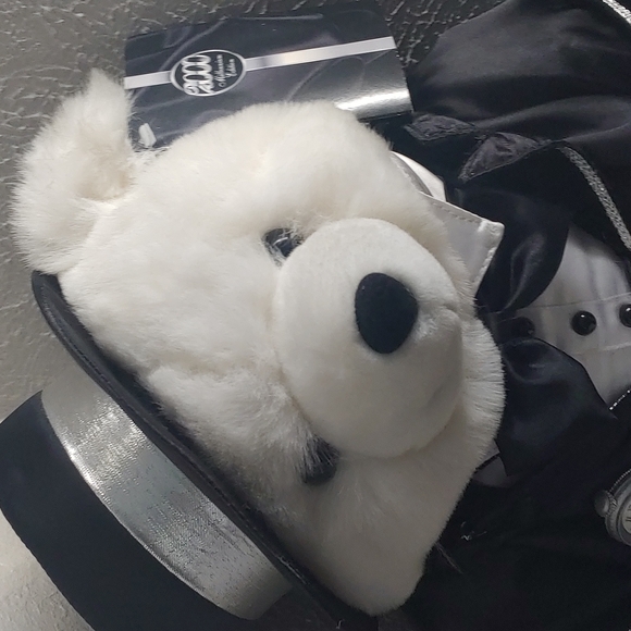 Millennium 2000 Teddy Bear! - Picture 6 of 7